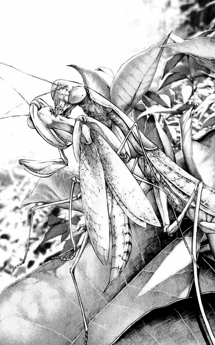 The Climber (2007) - Capítulo 51 - Página 9 - LectorTMOo