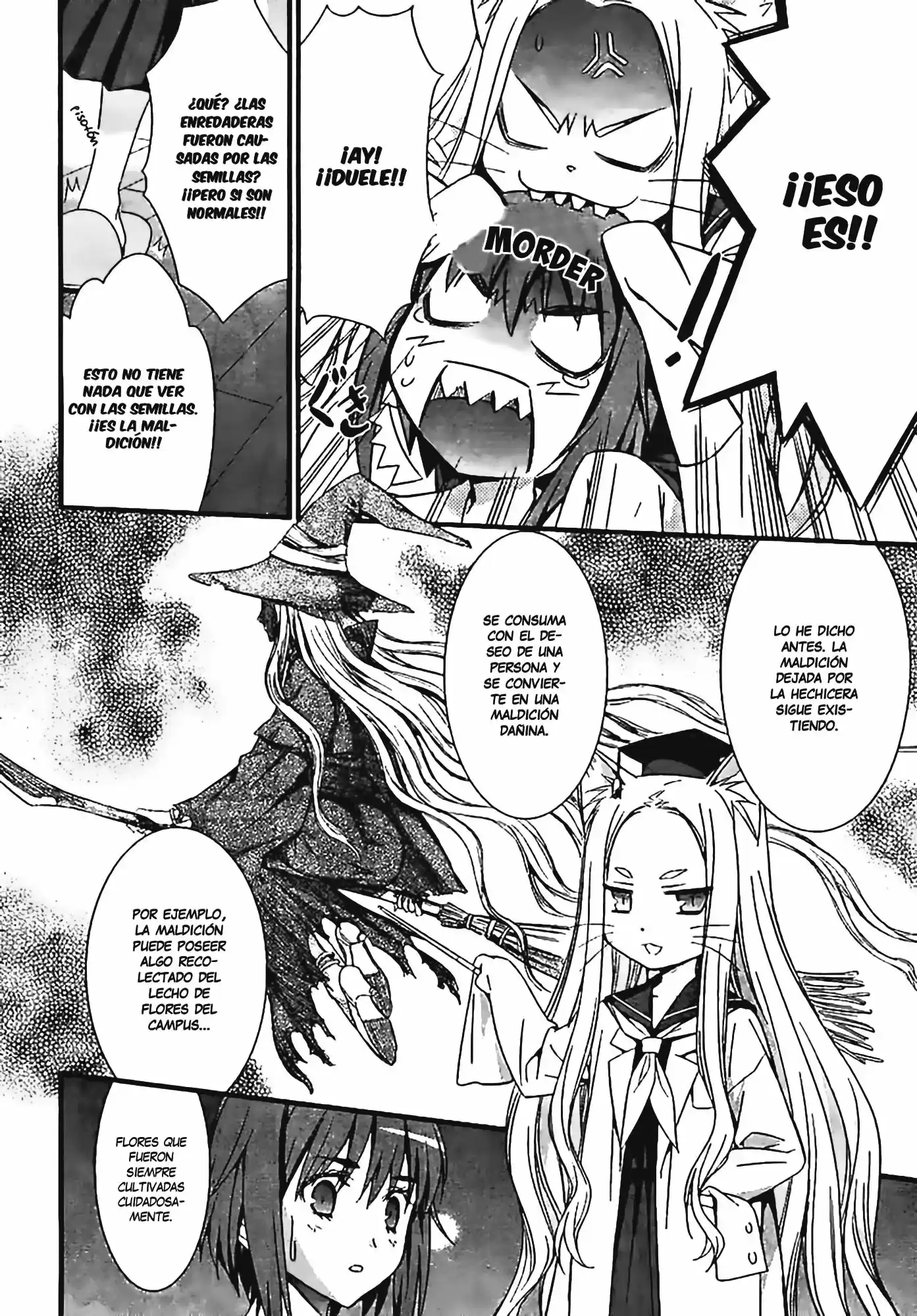 The enchantress´s kitty: The magical cat doctor and the princess of thorns (2009) - Capítulo 1 - Página 11 - LectorTMOo