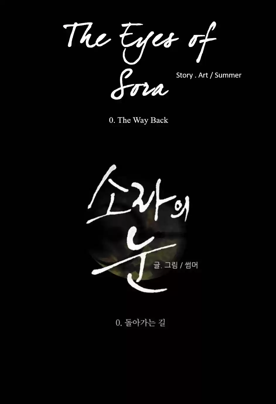 the eyes of sora (2014) - Capítulo  - Página 13 - LectorTMOo