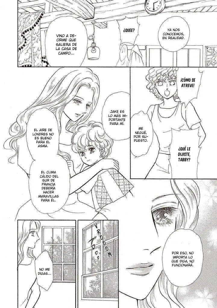 The Frenchman's Love-Child (Brides of L'Amour I) - Capítulo 2 - Página 11 - LectorTMOo