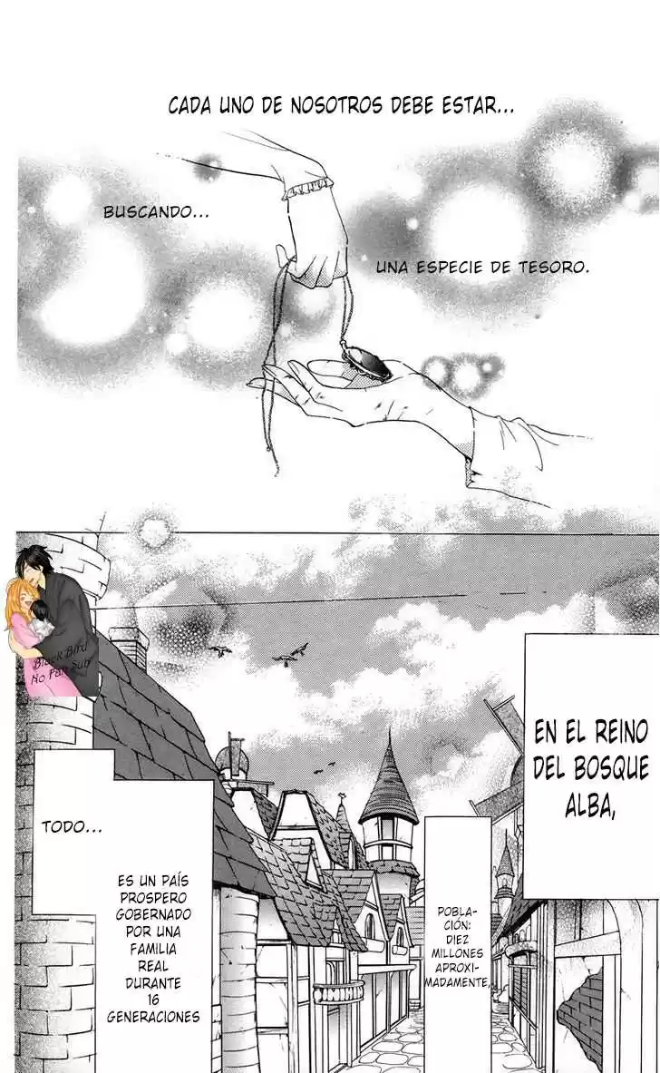 The Princess and The Three Beast! - Himegimi to Sanbiki no Kemono (2008) - Capítulo 1.01 - Página 11 - LectorTMOo