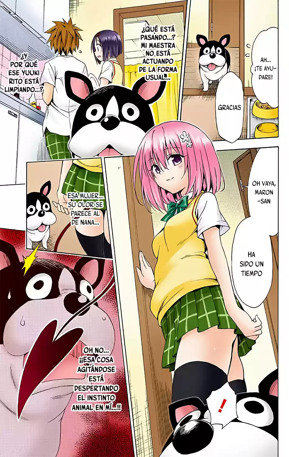 To Love-Ru Darkness - Digital Colored Comics (2015) - Capítulo 18 - Página 23 - LectorTMOo