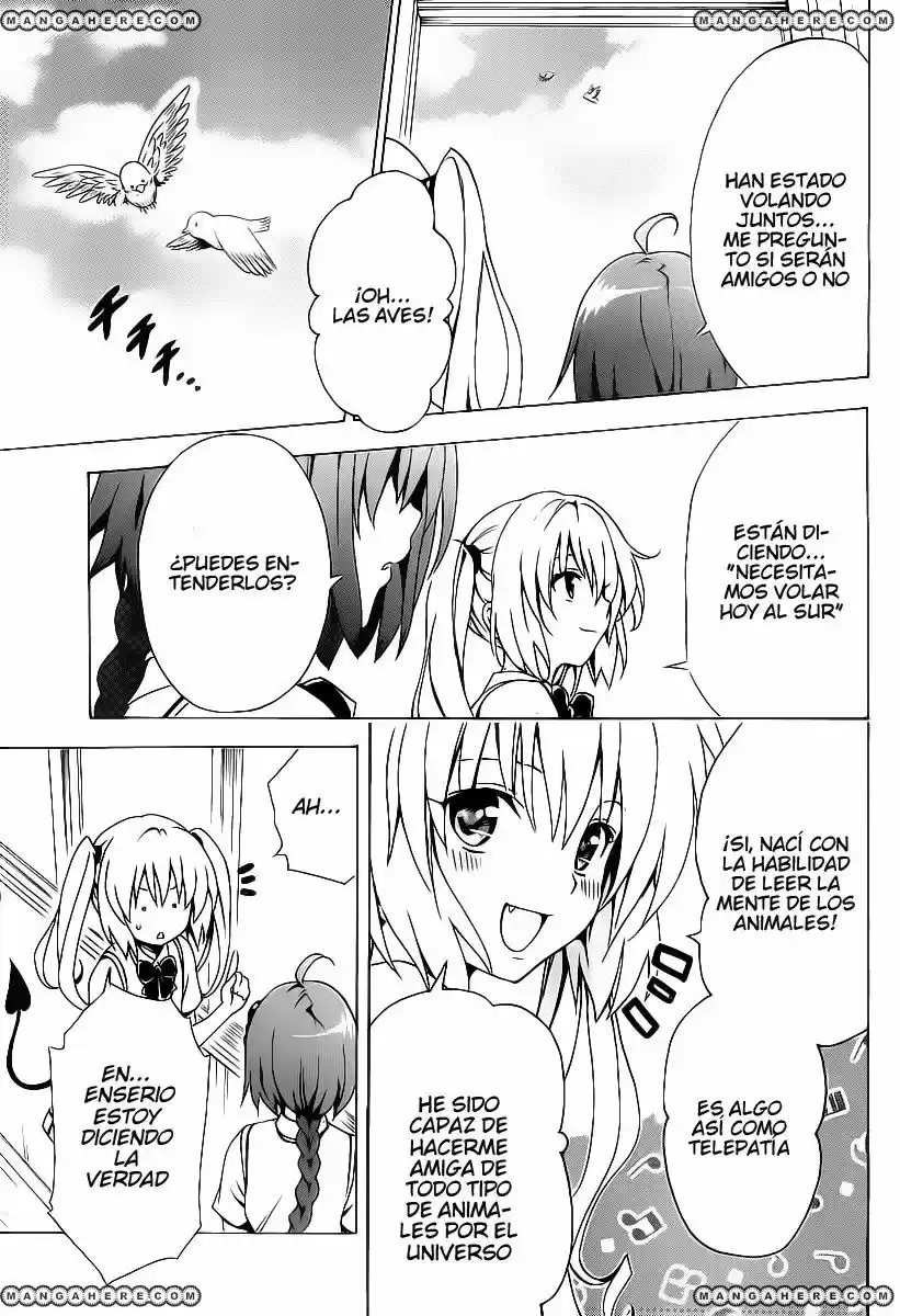 To LOVE-Ru Darkness (2010) - Capítulo 1 - Página 37 - LectorTMOo