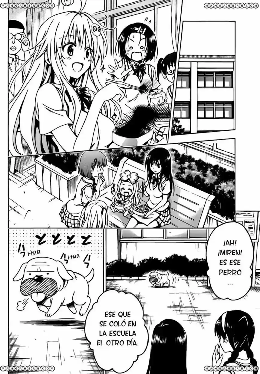 To LOVE-Ru Darkness (2010) - Capítulo 11 - Página 6 - LectorTMOo