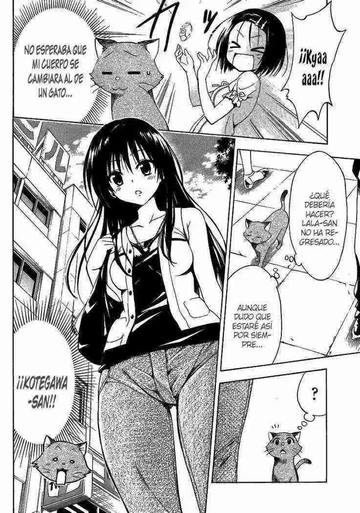 To LOVE-Ru Darkness (2010) - Capítulo 13.05 - Página 6 - LectorTMOo