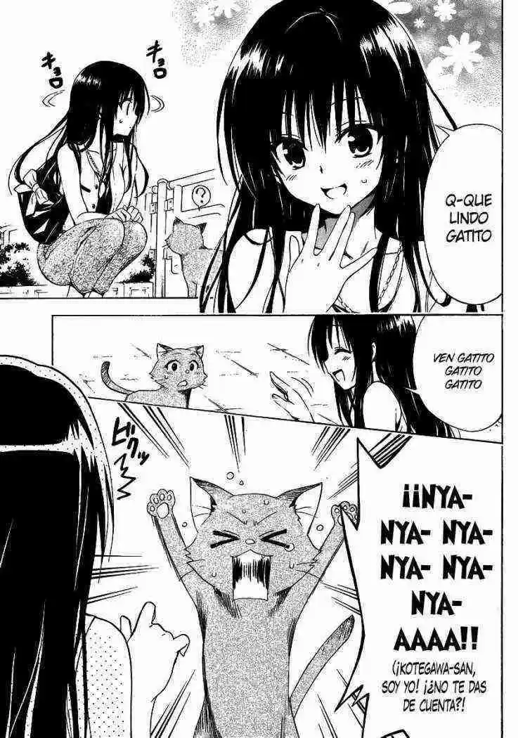 To LOVE-Ru Darkness (2010) - Capítulo 13.05 - Página 7 - LectorTMOo