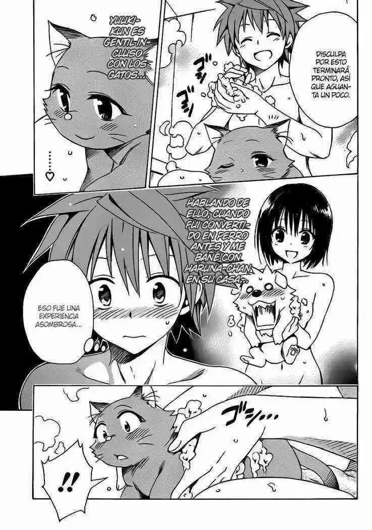To LOVE-Ru Darkness (2010) - Capítulo 13.05 - Página 15 - LectorTMOo