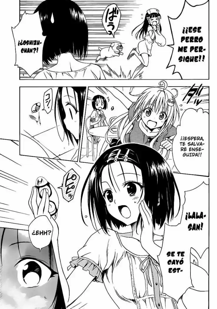 To LOVE-Ru Darkness (2010) - Capítulo 13.5 - Página 5 - LectorTMOo