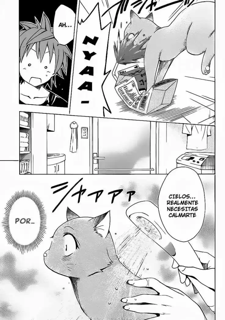 To LOVE-Ru Darkness (2010) - Capítulo 13.5 - Página 13 - LectorTMOo