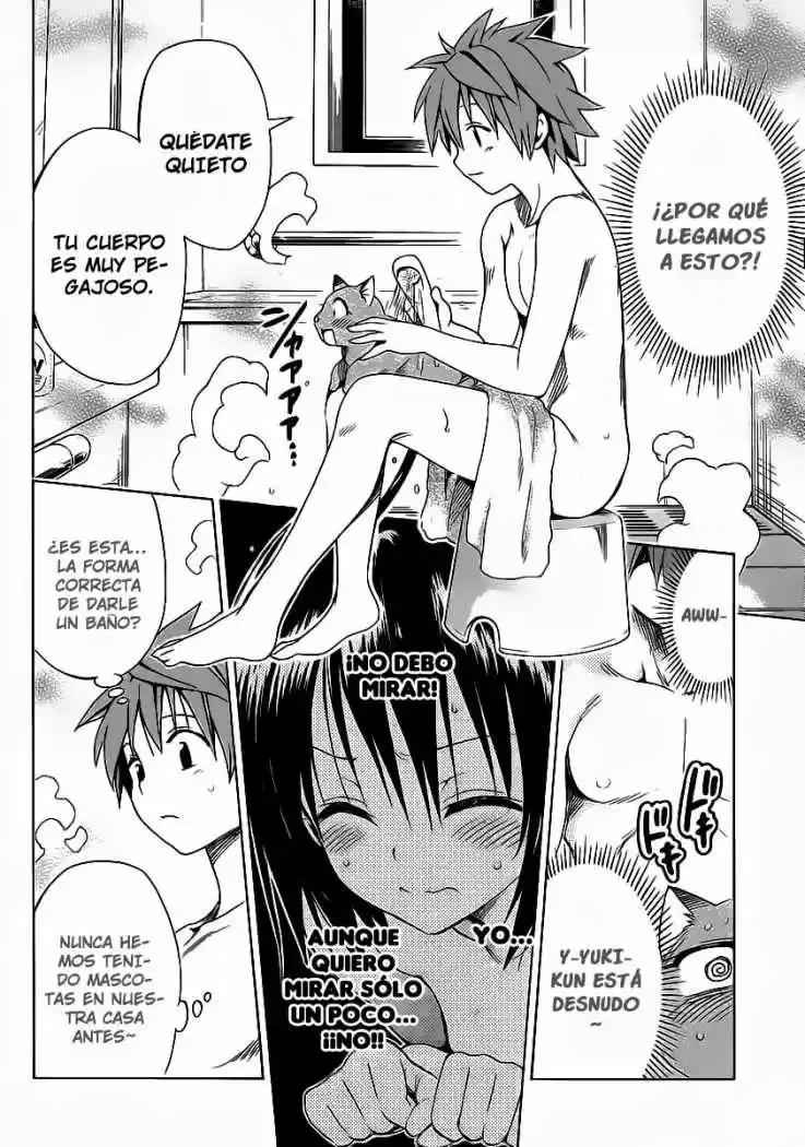 To LOVE-Ru Darkness (2010) - Capítulo 13.5 - Página 14 - LectorTMOo