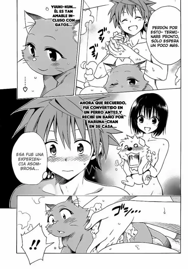 To LOVE-Ru Darkness (2010) - Capítulo 13.5 - Página 15 - LectorTMOo