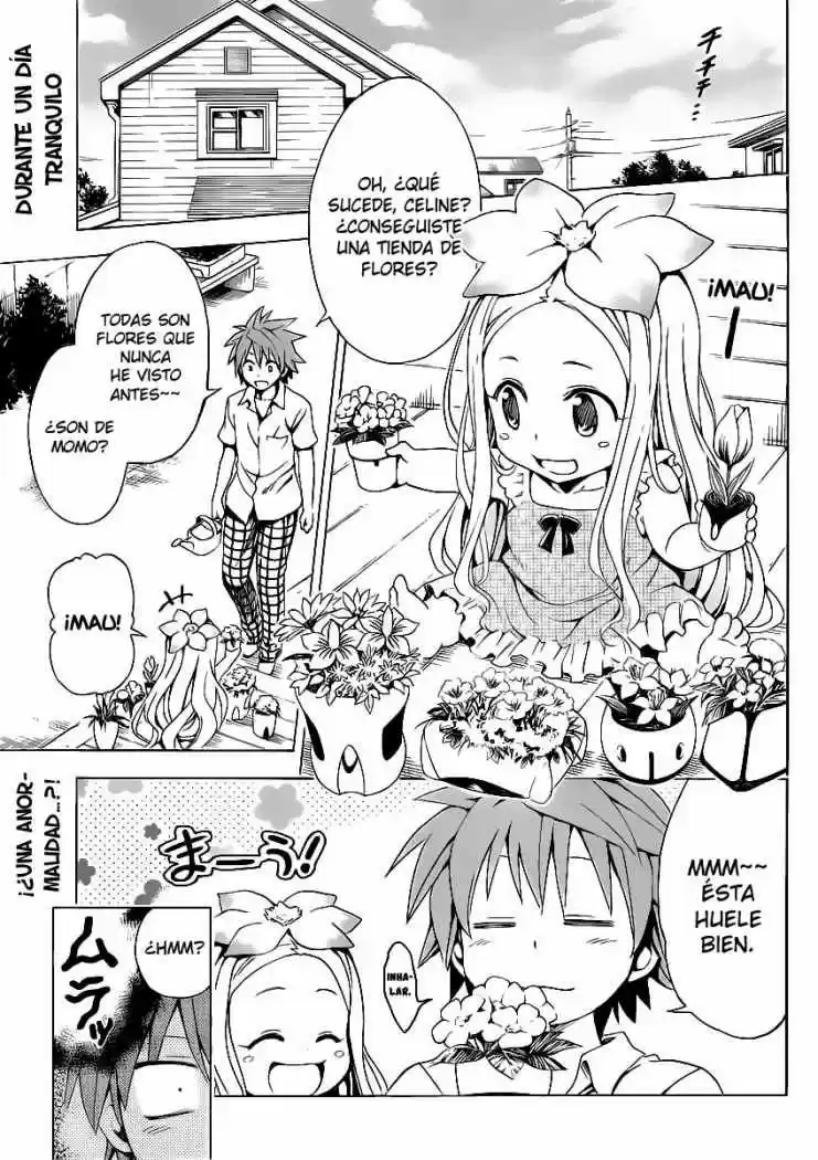 To LOVE-Ru Darkness (2010) - Capítulo 16.5 - Página 4 - LectorTMOo