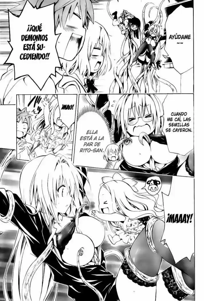 To LOVE-Ru Darkness (2010) - Capítulo 16 - Página 24 - LectorTMOo