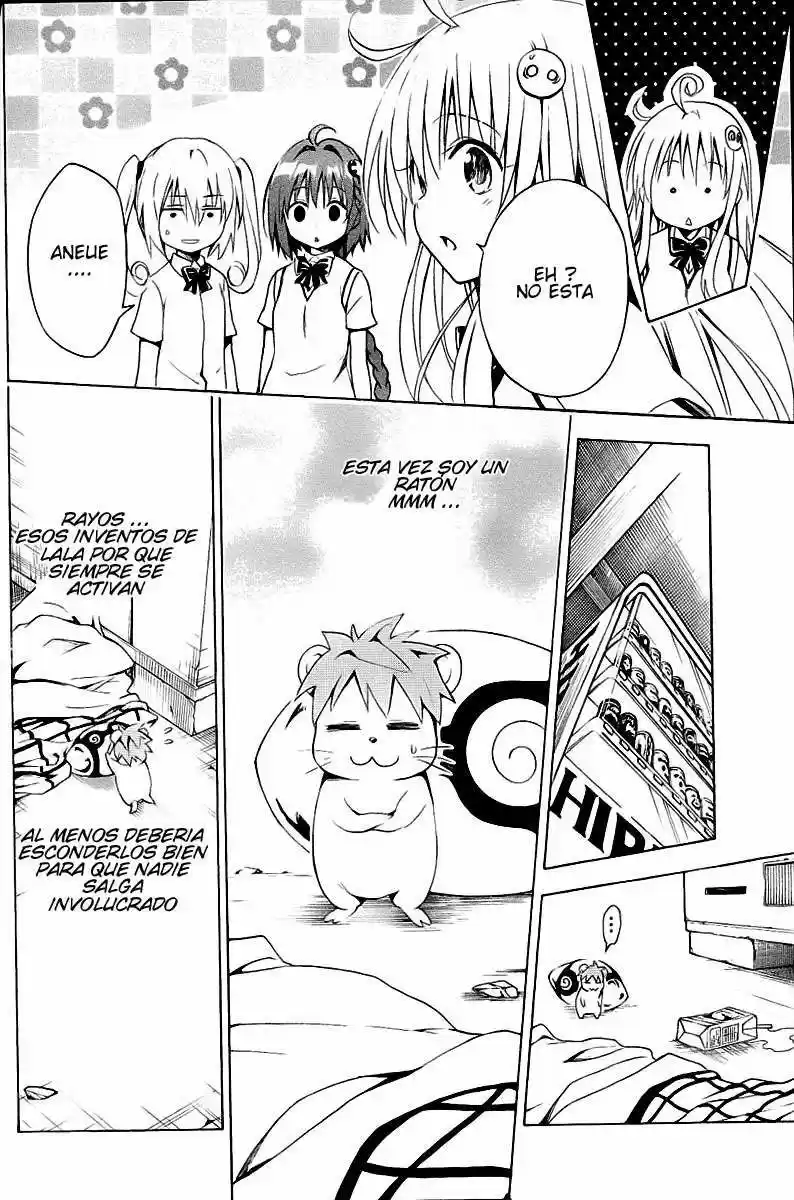 To LOVE-Ru Darkness (2010) - Capítulo 27 - Página 5 - LectorTMOo