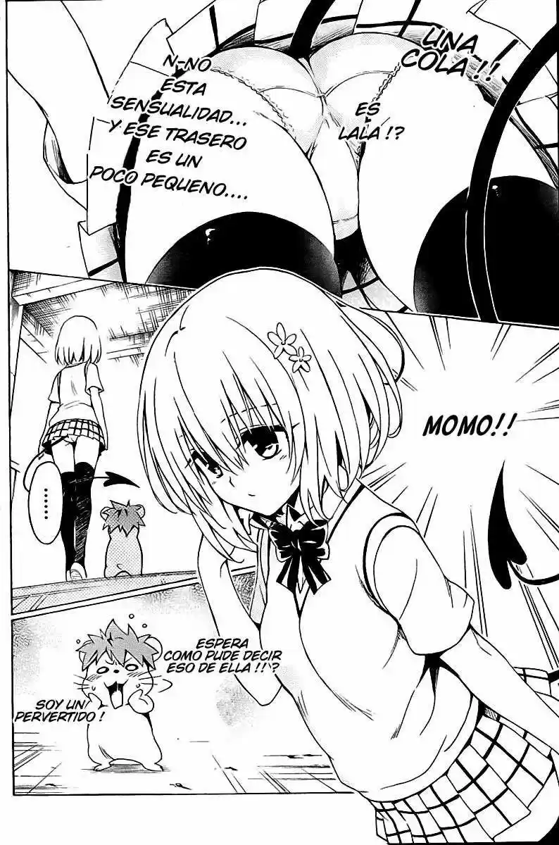 To LOVE-Ru Darkness (2010) - Capítulo 27 - Página 7 - LectorTMOo