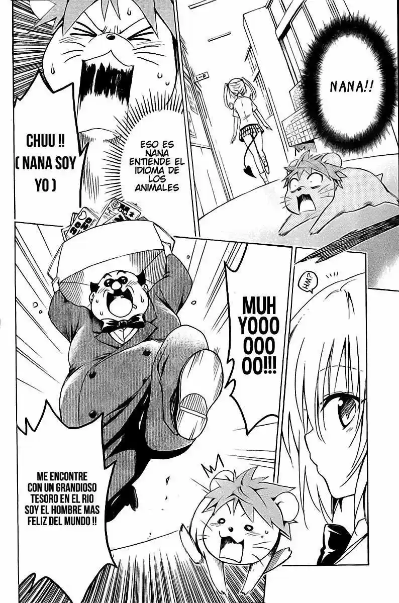 To LOVE-Ru Darkness (2010) - Capítulo 27 - Página 21 - LectorTMOo