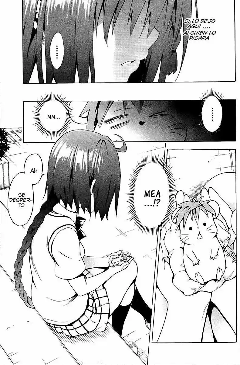 To LOVE-Ru Darkness (2010) - Capítulo 27 - Página 32 - LectorTMOo