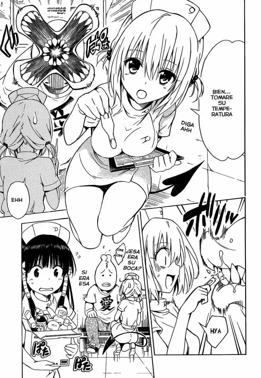 To LOVE-Ru Darkness (2010) - Capítulo 38 - Página 17 - LectorTMOo