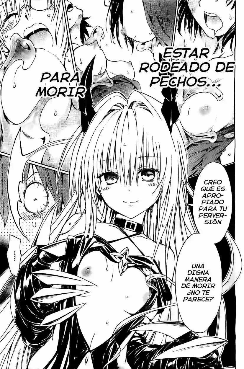 To LOVE-Ru Darkness (2010) - Capítulo 40 - Página 33 - LectorTMOo