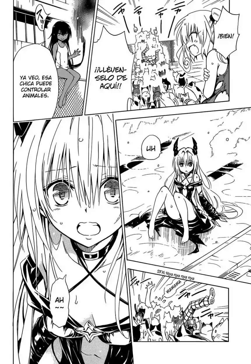 To LOVE-Ru Darkness (2010) - Capítulo 41 - Página 19 - LectorTMOo