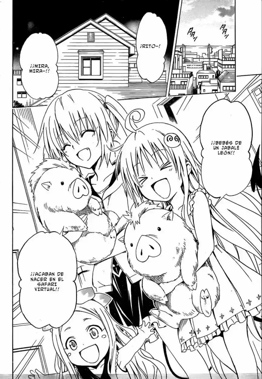To LOVE-Ru Darkness (2010) - Capítulo 51 - Página 40 - LectorTMOo