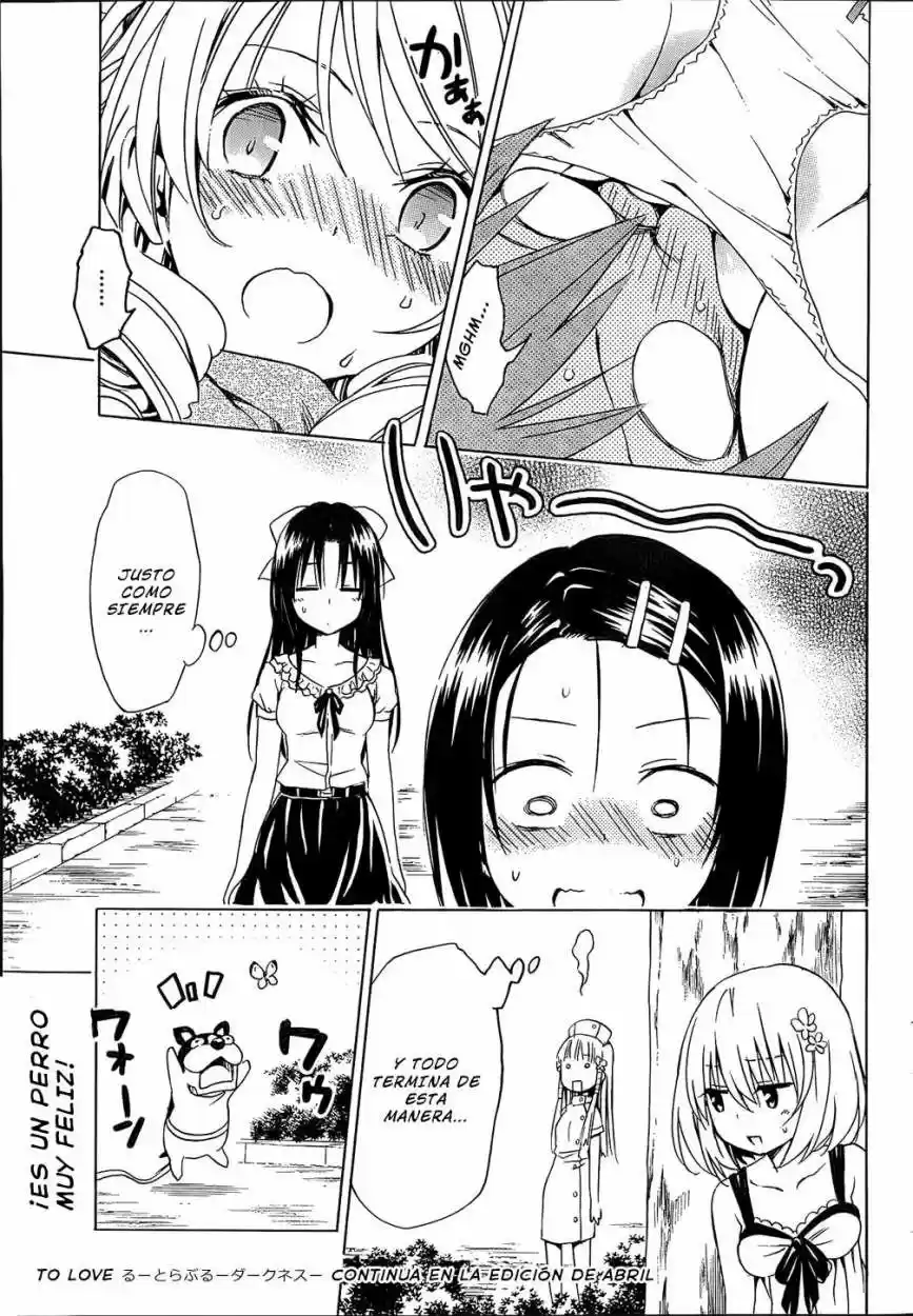 To LOVE-Ru Darkness (2010) - Capítulo 52 - Página 37 - LectorTMOo