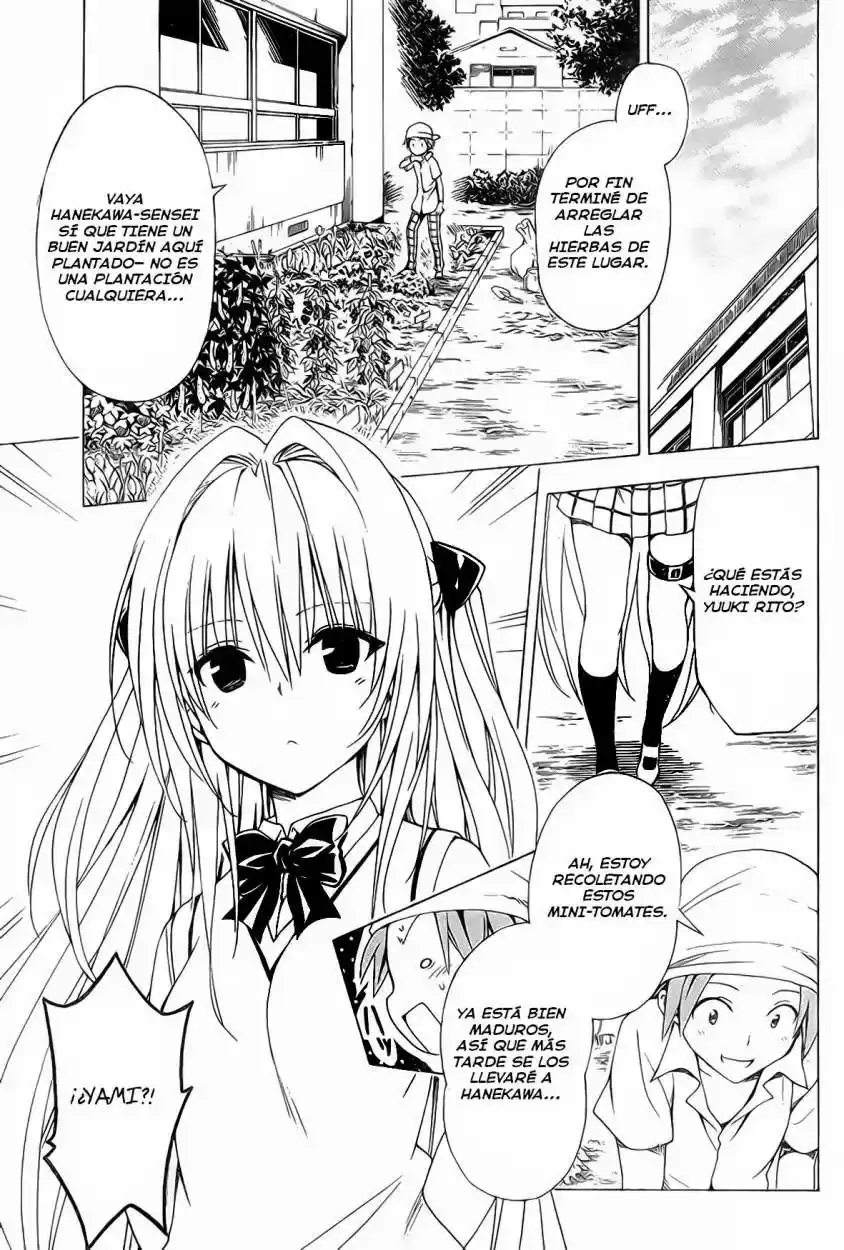To LOVE-Ru Darkness (2010) - Capítulo 53 - Página 25 - LectorTMOo