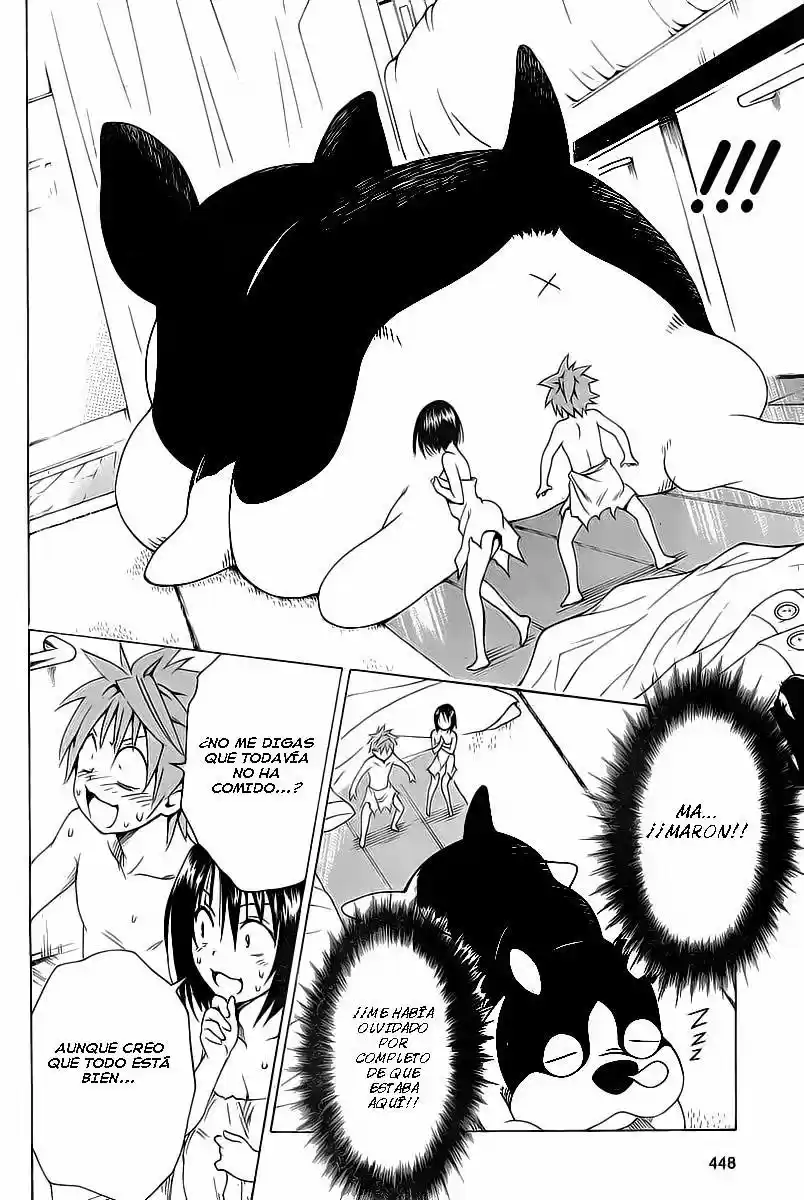 To LOVE-Ru Darkness (2010) - Capítulo 54 - Página 29 - LectorTMOo