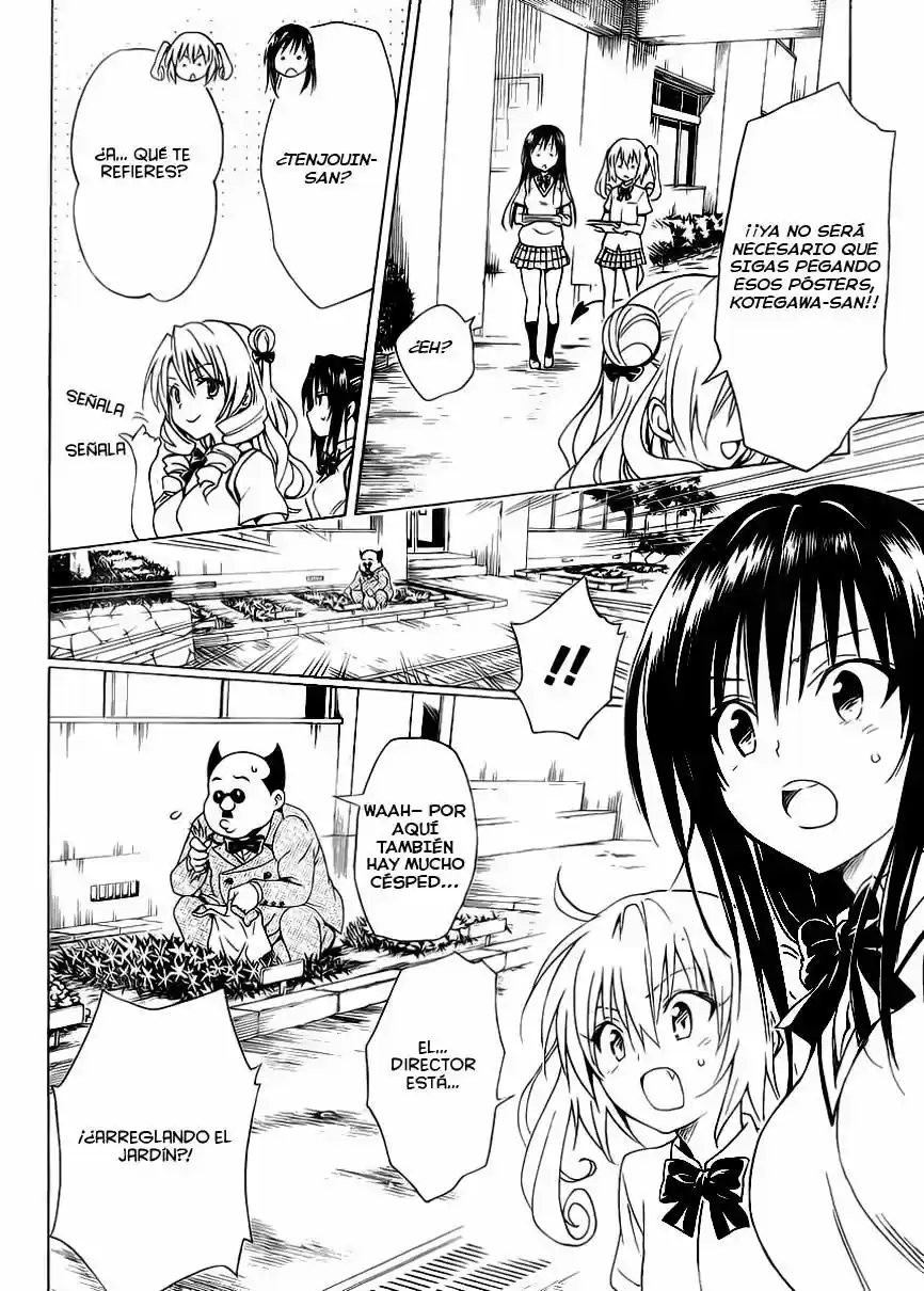 To LOVE-Ru Darkness (2010) - Capítulo 57 - Página 19 - LectorTMOo