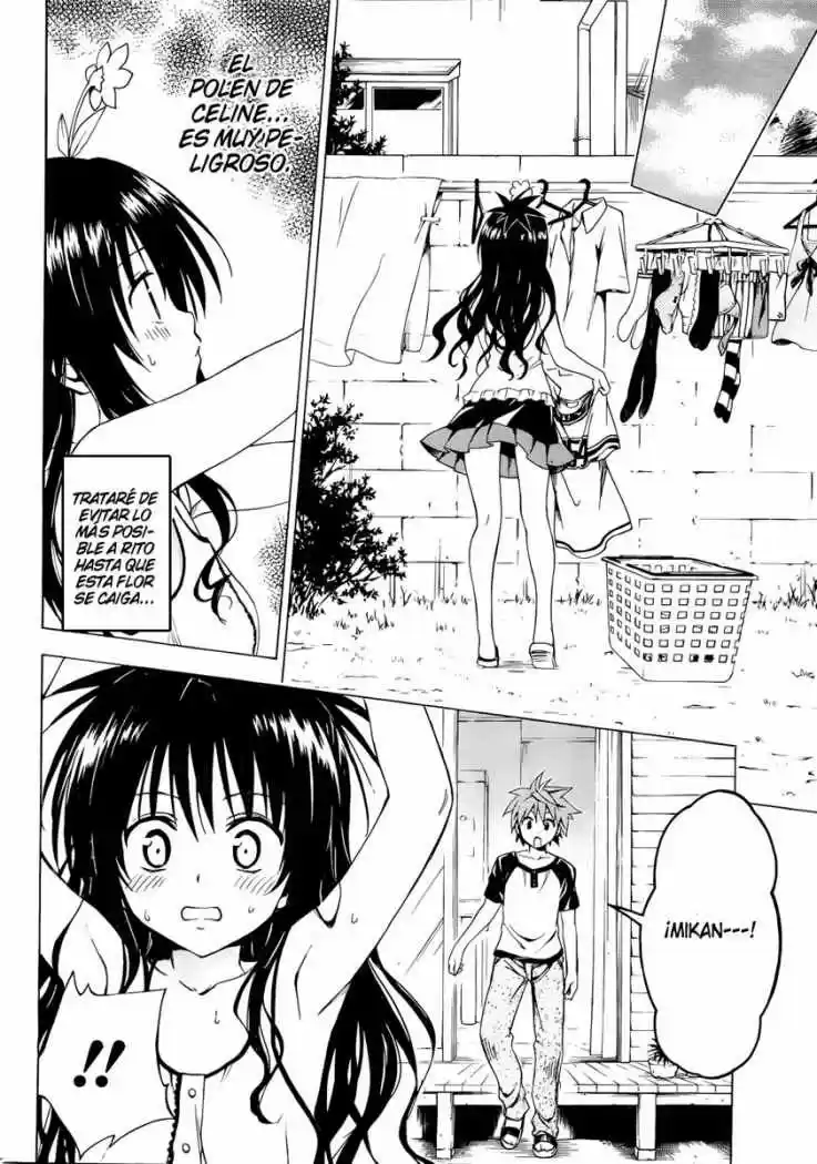 To LOVE-Ru Darkness (2010) - Capítulo 7.5 - Página 11 - LectorTMOo