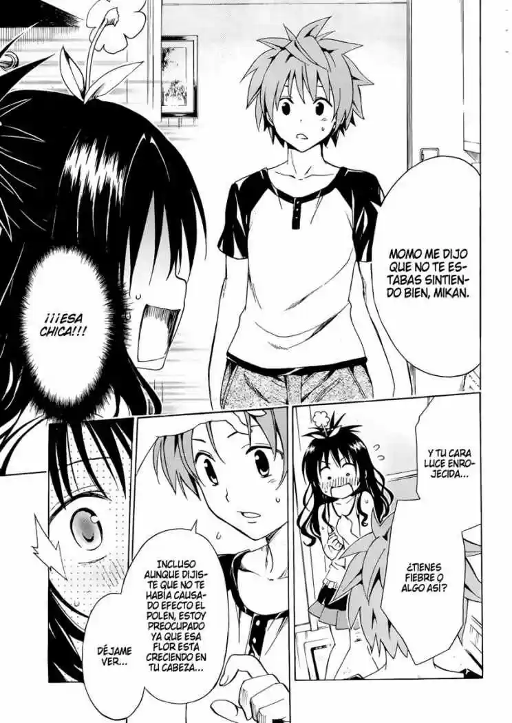 To LOVE-Ru Darkness (2010) - Capítulo 7.5 - Página 16 - LectorTMOo