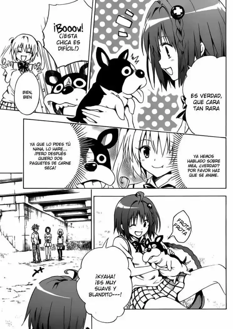 To LOVE-Ru Darkness (2010) - Capítulo 7 - Página 19 - LectorTMOo