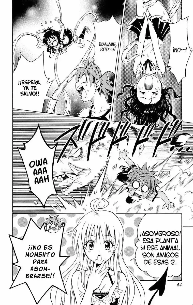 To LOVE-Ru Trouble (2006) - Capítulo 108 - Página 19 - LectorTMOo