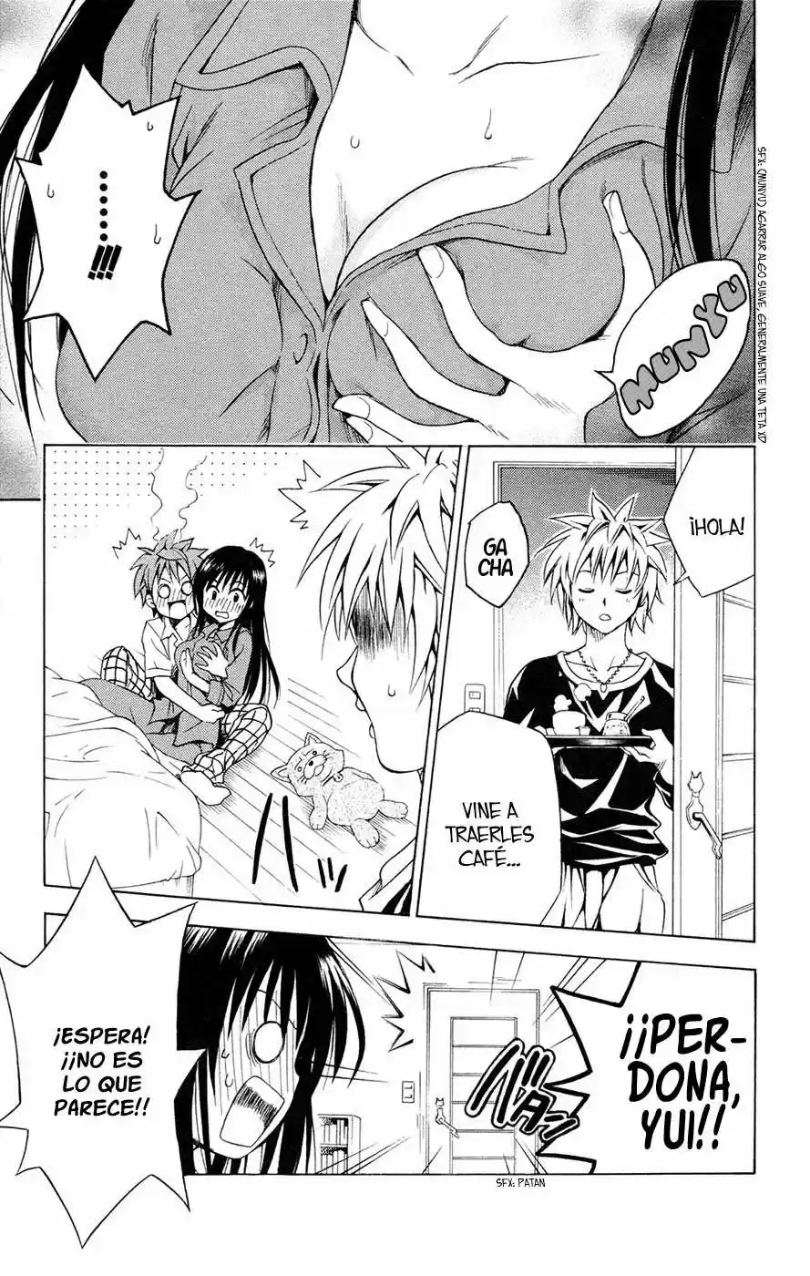 To LOVE-Ru Trouble (2006) - Capítulo 120 - Página 15 - LectorTMOo