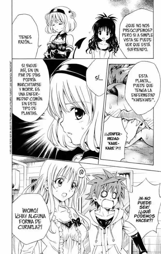 To LOVE-Ru Trouble (2006) - Capítulo 124 - Página 6 - LectorTMOo