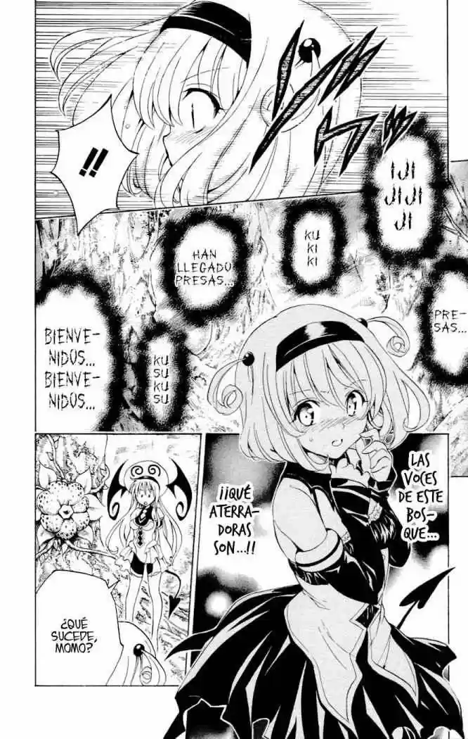 To LOVE-Ru Trouble (2006) - Capítulo 125 - Página 19 - LectorTMOo