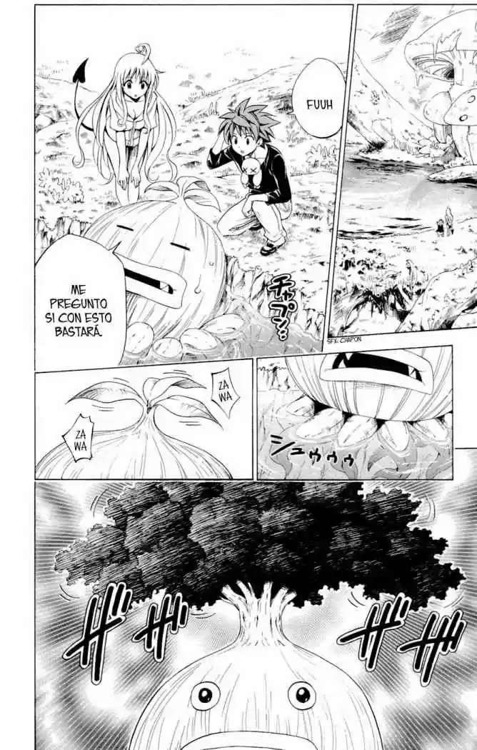 To LOVE-Ru Trouble (2006) - Capítulo 128 - Página 5 - LectorTMOo