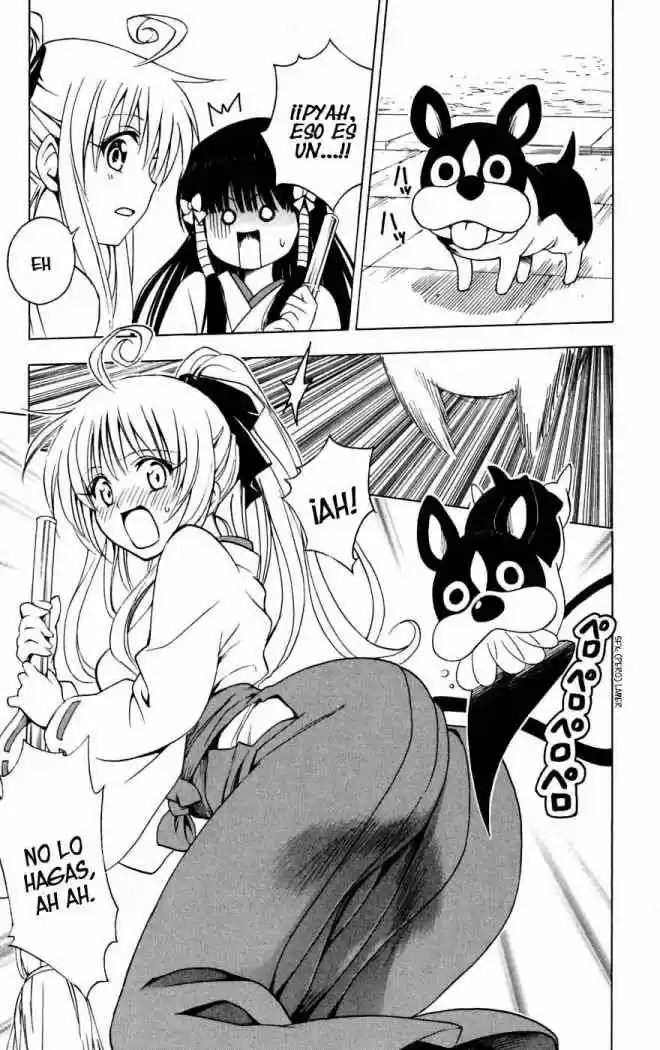 To LOVE-Ru Trouble (2006) - Capítulo 134 - Página 11 - LectorTMOo