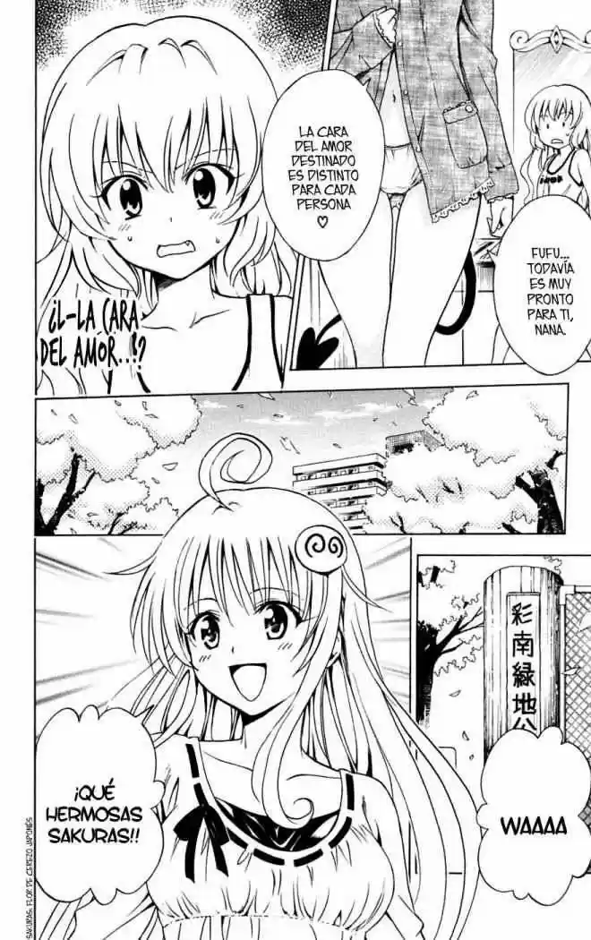 To LOVE-Ru Trouble (2006) - Capítulo 141 - Página 6 - LectorTMOo