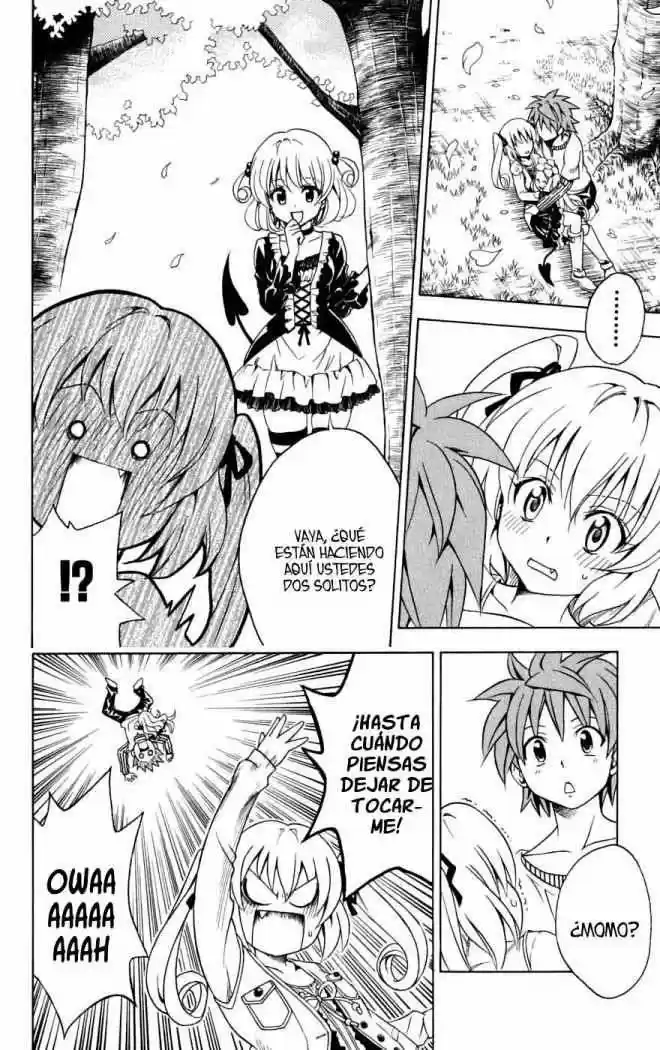 To LOVE-Ru Trouble (2006) - Capítulo 141 - Página 18 - LectorTMOo
