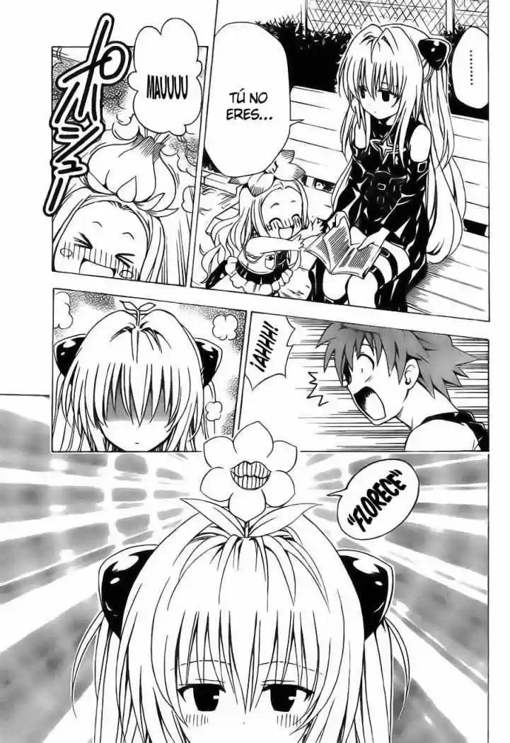 To LOVE-Ru Trouble (2006) - Capítulo 158 - Página 4 - LectorTMOo