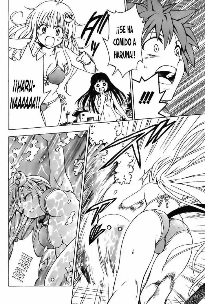 To LOVE-Ru Trouble (2006) - Capítulo 160 - Página 19 - LectorTMOo