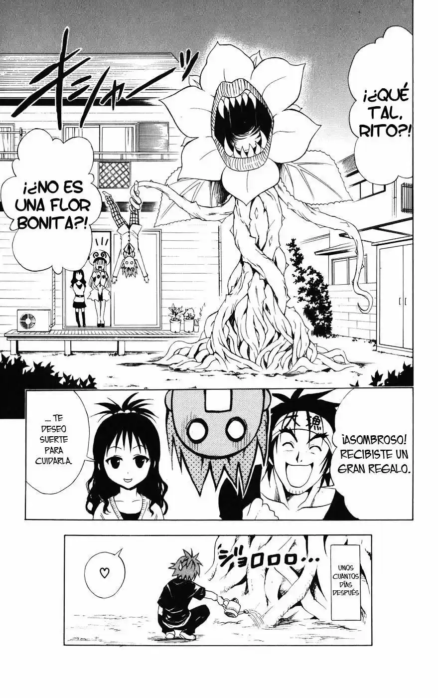 To LOVE-Ru Trouble (2006) - Capítulo 27 - Página 19 - LectorTMOo