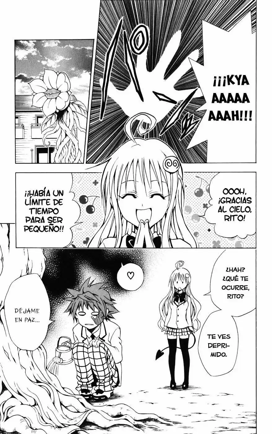 To LOVE-Ru Trouble (2006) - Capítulo 29 - Página 21 - LectorTMOo