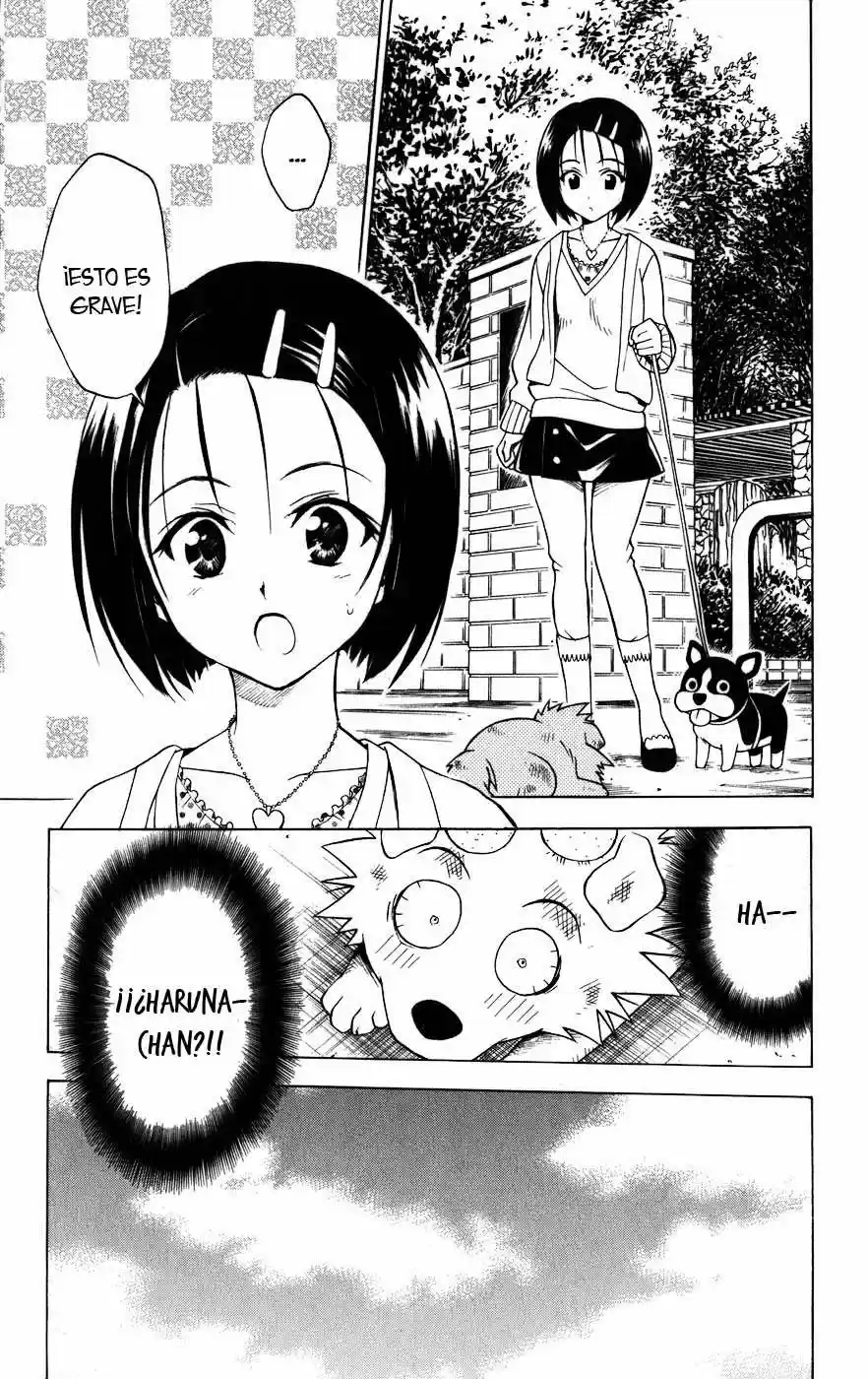 To LOVE-Ru Trouble (2006) - Capítulo 43 - Página 17 - LectorTMOo