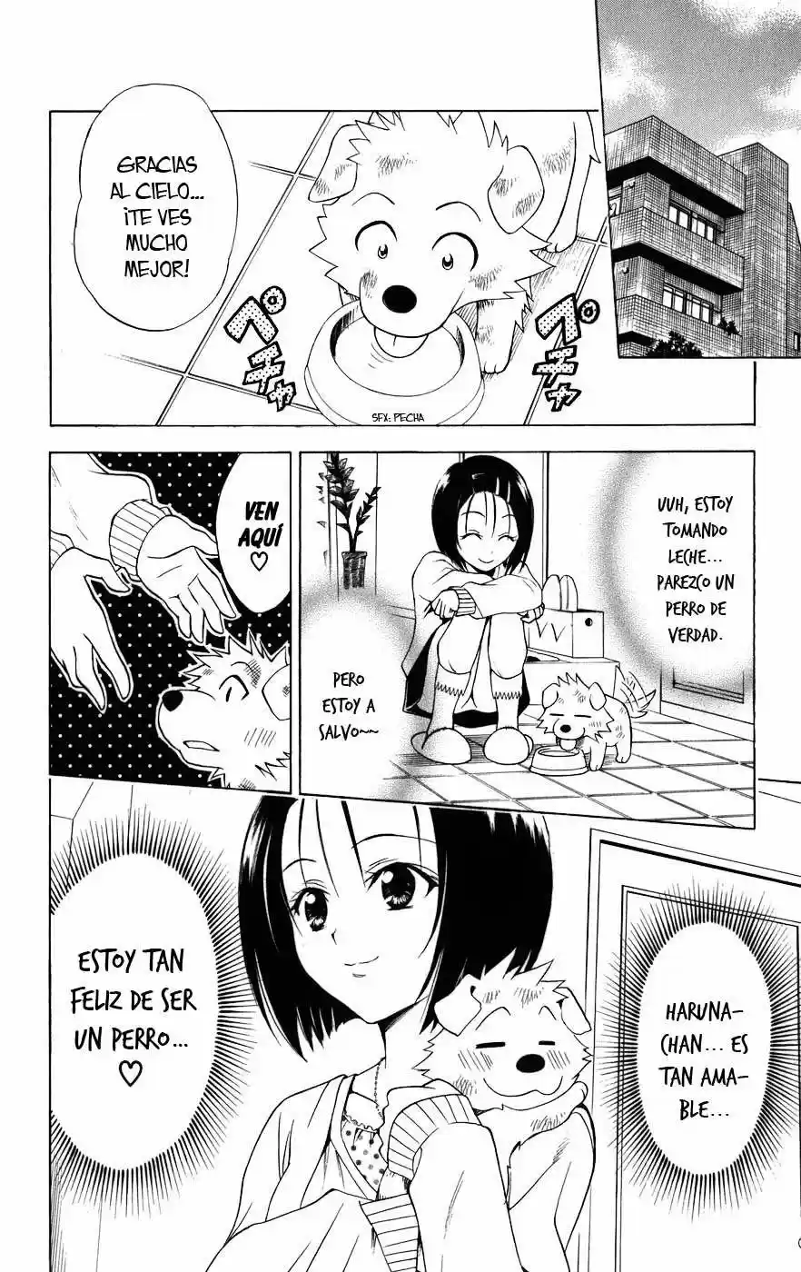 To LOVE-Ru Trouble (2006) - Capítulo 43 - Página 18 - LectorTMOo
