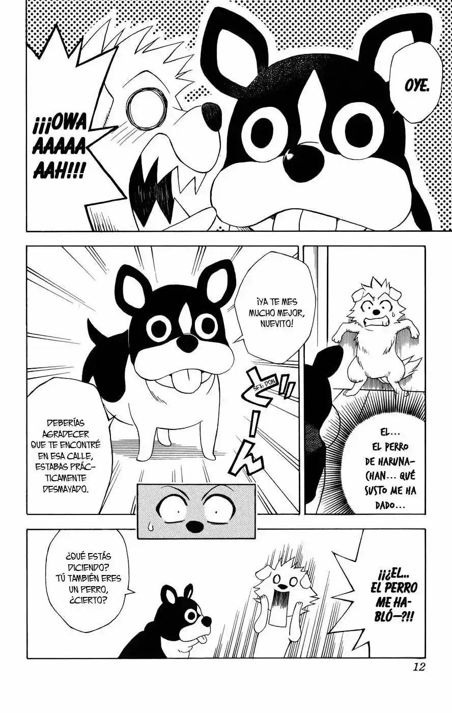 To LOVE-Ru Trouble (2006) - Capítulo 44 - Página 5 - LectorTMOo