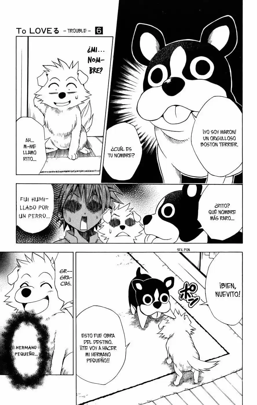 To LOVE-Ru Trouble (2006) - Capítulo 44 - Página 6 - LectorTMOo