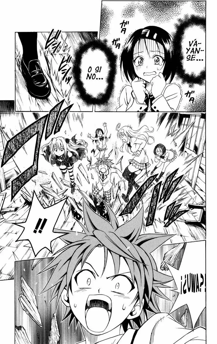 To LOVE-Ru Trouble (2006) - Capítulo 55 - Página 19 - LectorTMOo