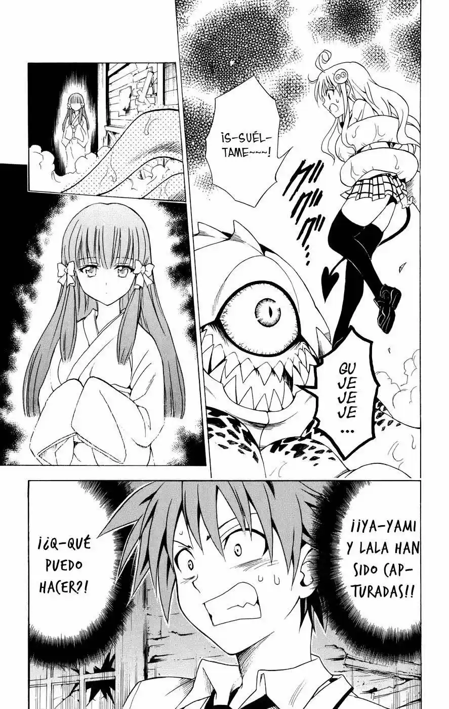 To LOVE-Ru Trouble (2006) - Capítulo 57 - Página 19 - LectorTMOo